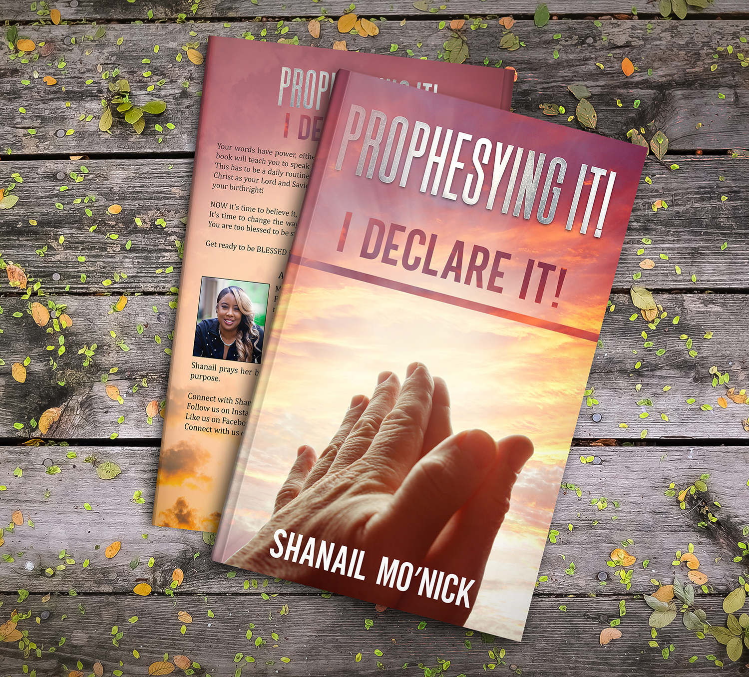 prophesying it book