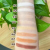 Richesse' Vegan Mineral Powder Arm Colors